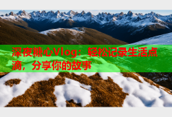 深夜糖心Vlog：轻松记录生活点滴，分享你的故事