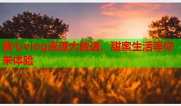 糖心vlog资源大放送，甜蜜生活等你来体验