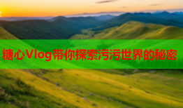糖心Vlog带你探索污污世界的秘密