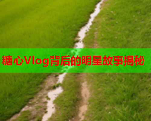 糖心Vlog背后的明星故事揭秘