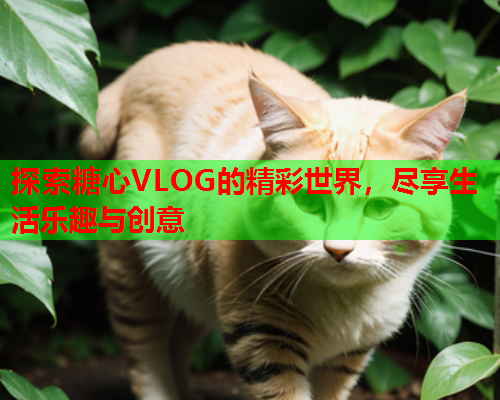 探索糖心VLOG的精彩世界，尽享生活乐趣与创意