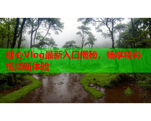 糖心Vlog最新入口揭秘，畅享精彩视频新体验