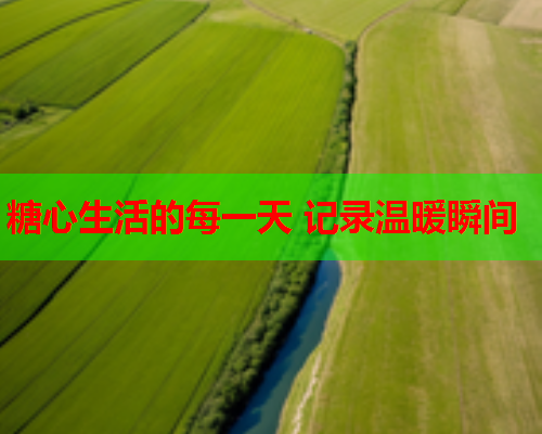 糖心生活的每一天 记录温暖瞬间