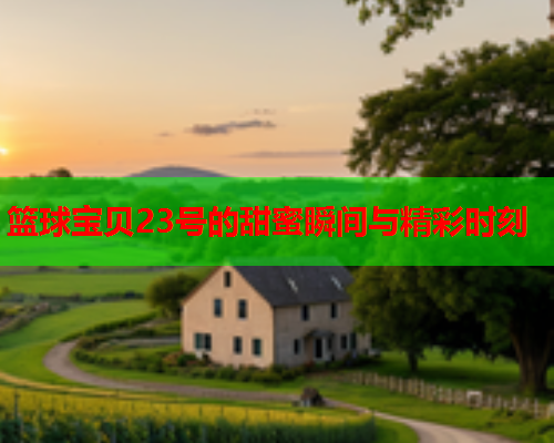 篮球宝贝23号的甜蜜瞬间与精彩时刻